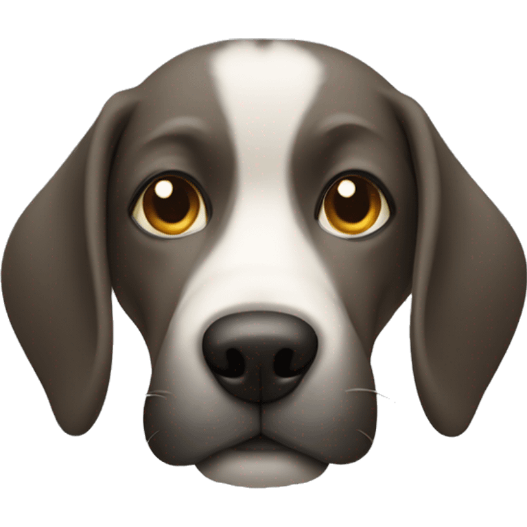 Dog wearing a muzzle over snout emoji