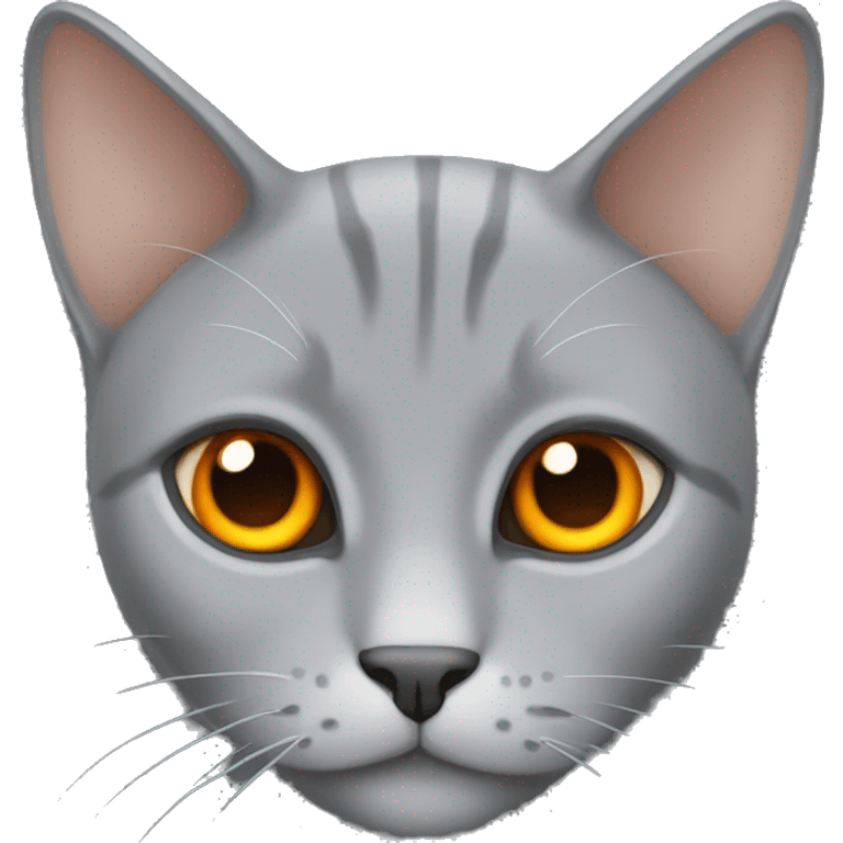 Gray cat with orange eyes  emoji