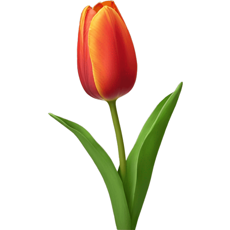 Tulip emoji