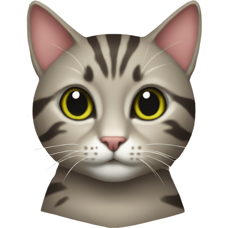 a cat with a krakodil emoji