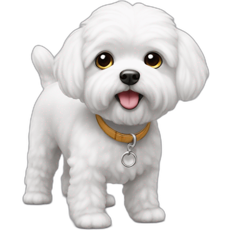 Bichon maltes blanco emoji