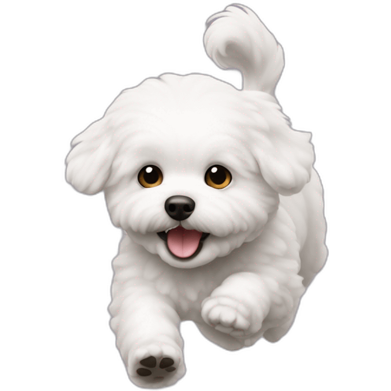 A bichon that comes running in front  emoji