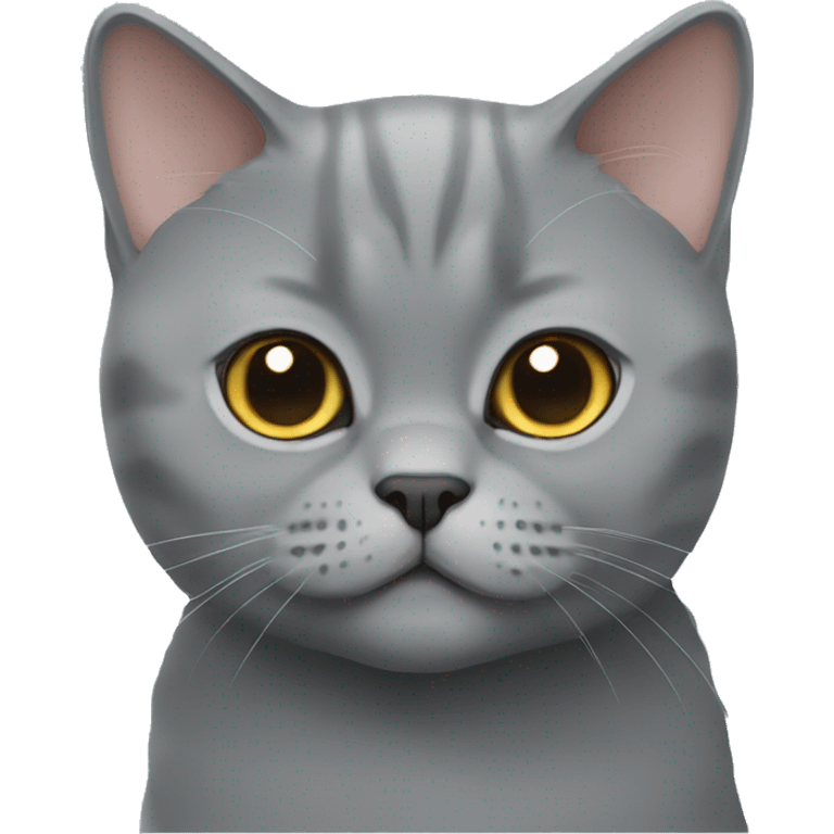 British shorthair cat emoji