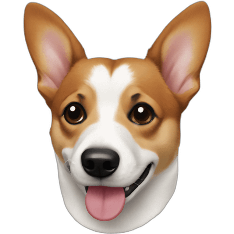 Jack russel corgi mix black mouth and nose emoji