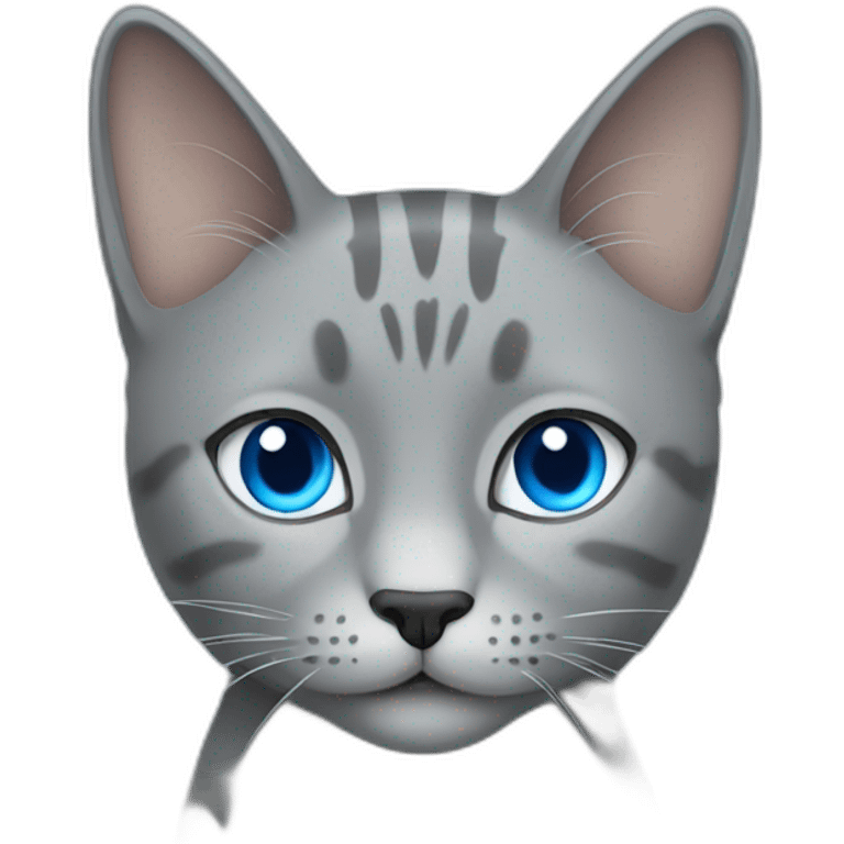 Gray cat with blue eyes emoji