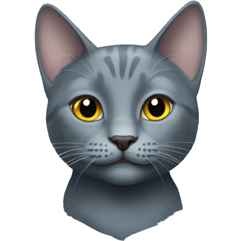 russian blue cat with smile emoji