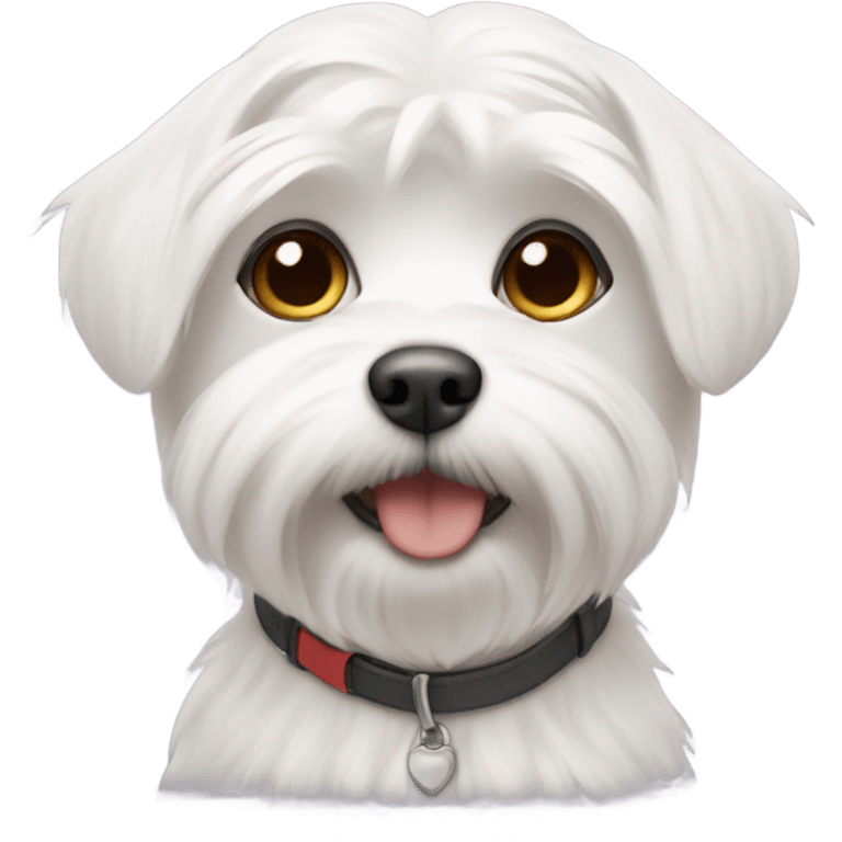 Maltese with short hair emoji