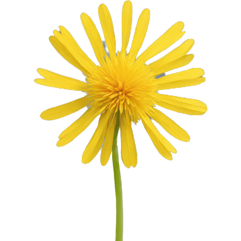 yellow dandelion emoji