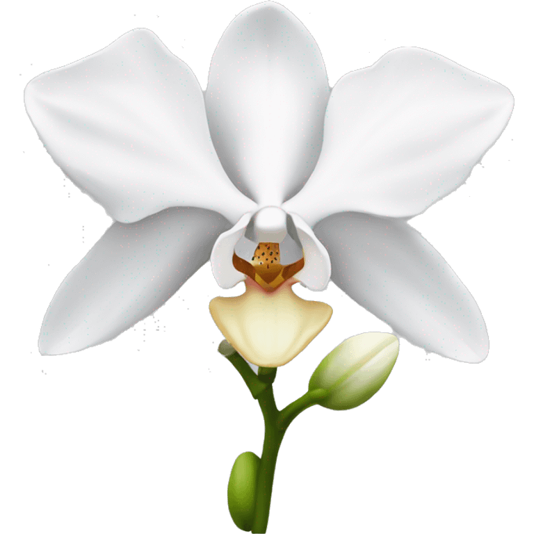 White orchid flower emoji