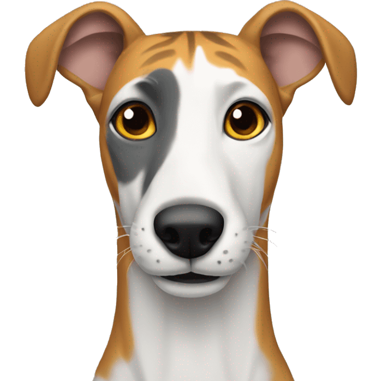  tiger greyhound with grey nose emoji