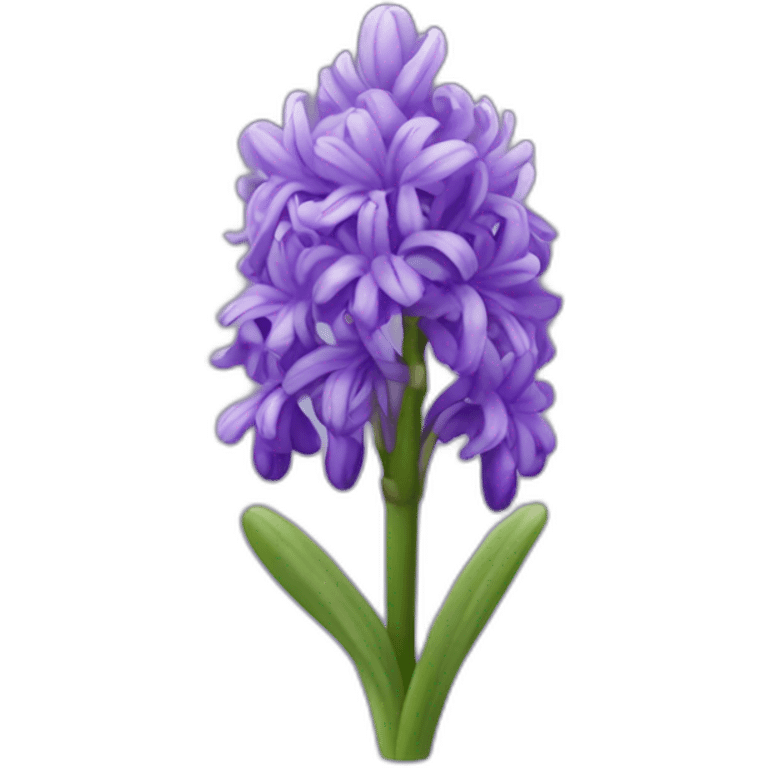 hyacinth flower emoji