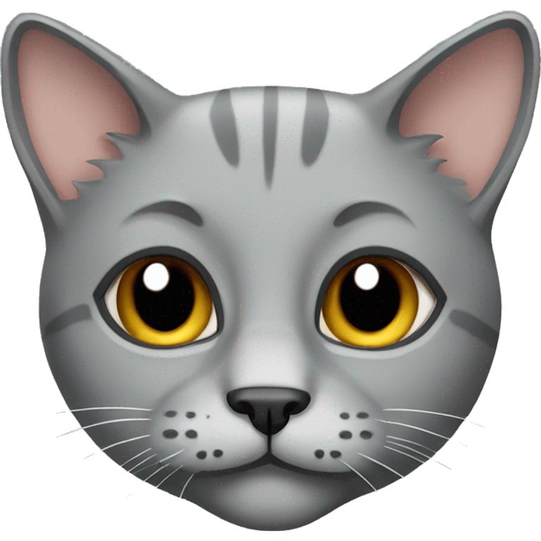 grey cat of the Scottish breed emoji