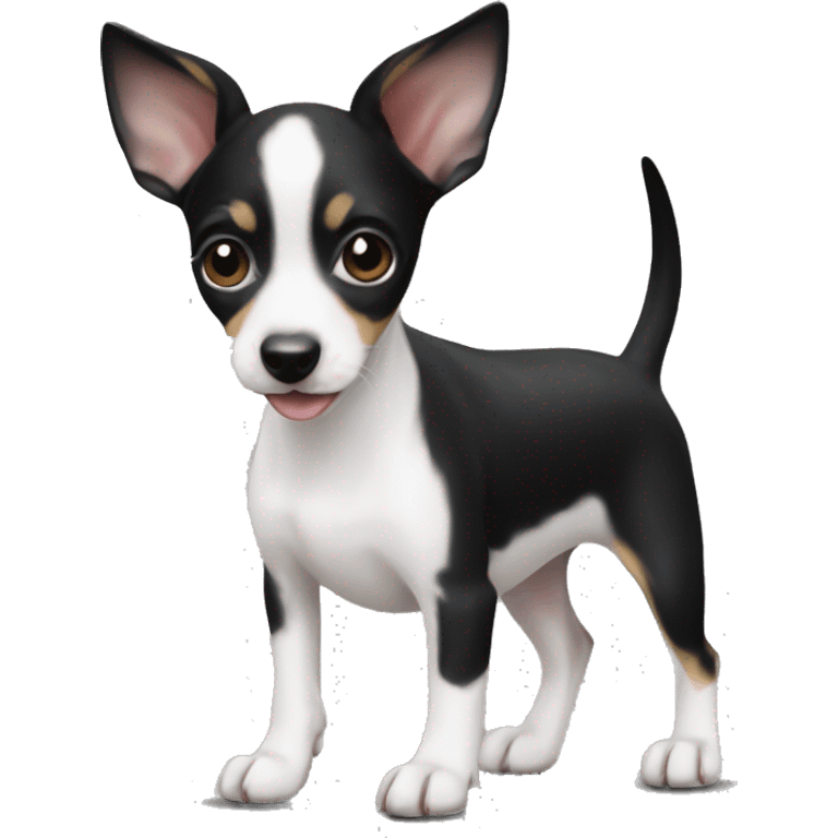 Black and white rat terrier puppy emoji