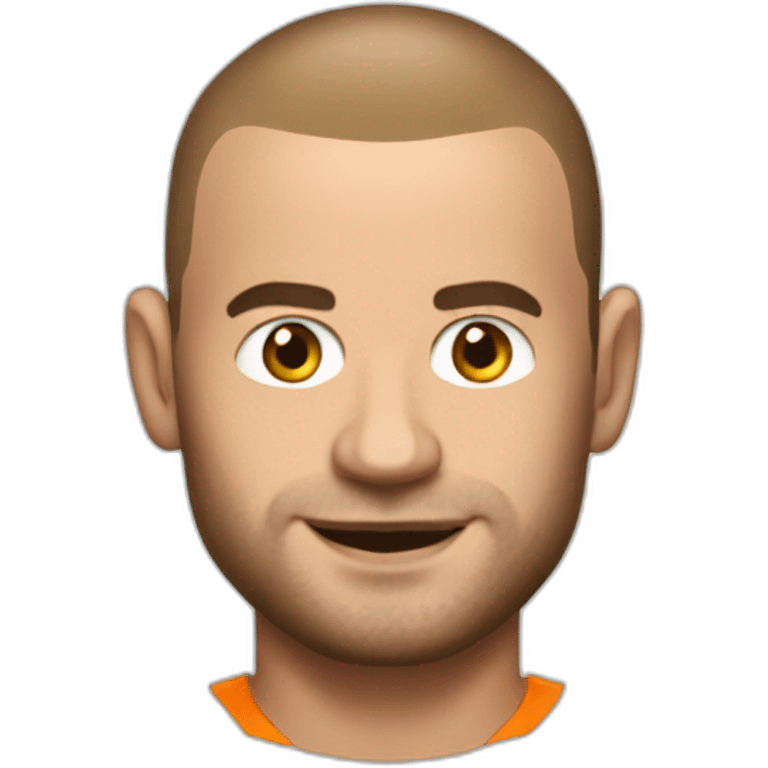 Wesley Sneijder emoji