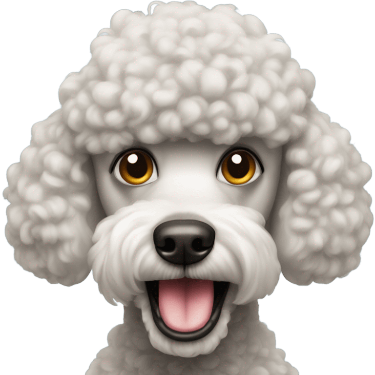 Poodle with a mad face emoji