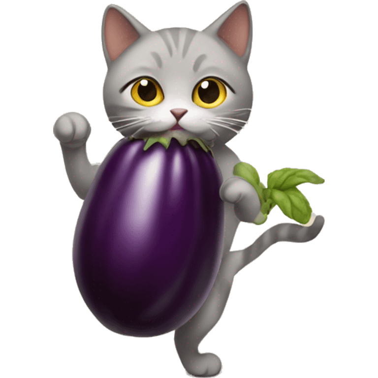 Cat holding eggplant emoji