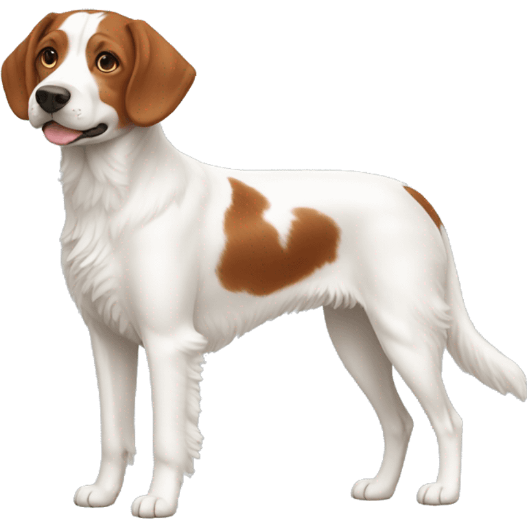 Brittany Dog Breed Full Body emoji