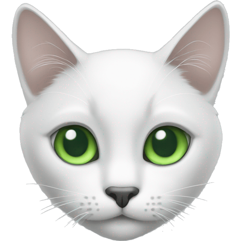 White and grey cat with green eyes emoji