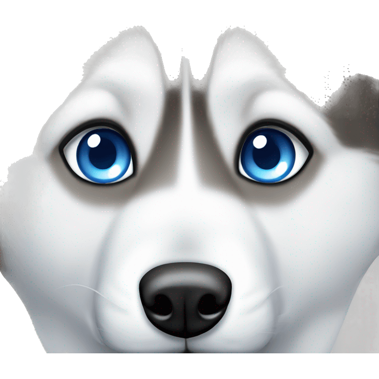 siberian husky with blue eyes peeking emoji