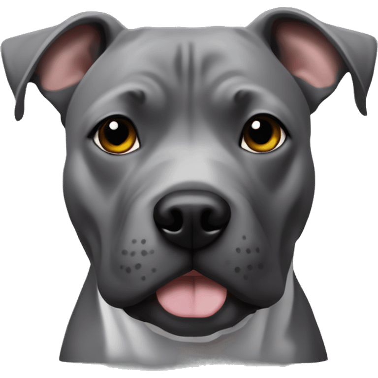 grey staffy terrier bruh emoji