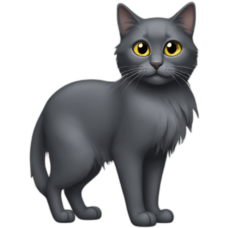 all-darkgrey-cat-long-hair-broken-ear emoji