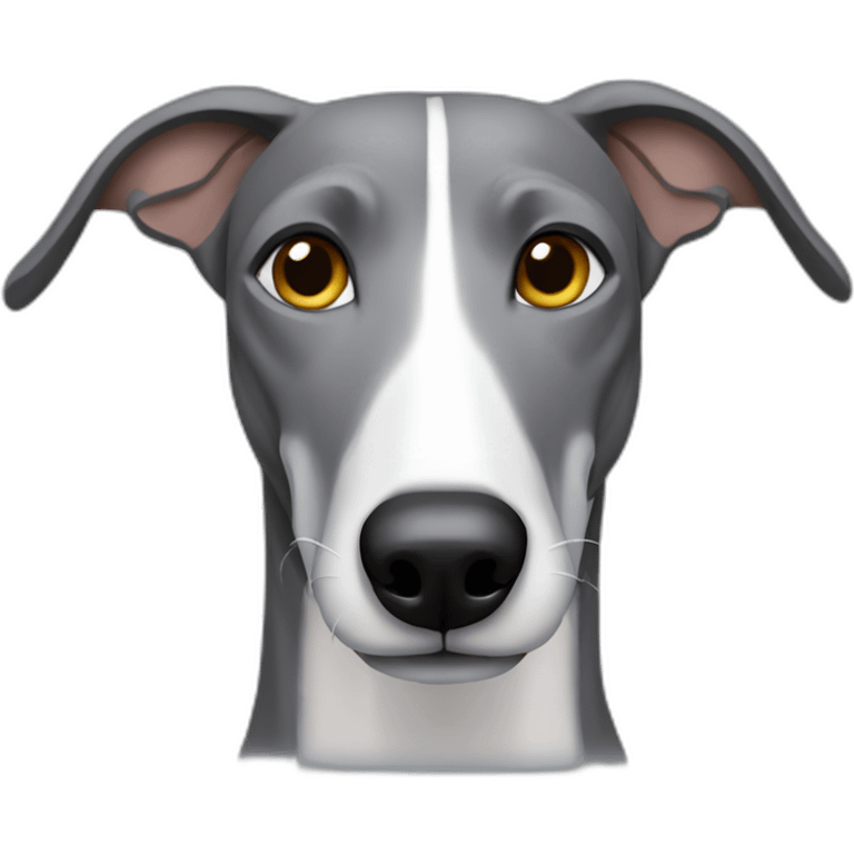 grey-greyhound-headonly emoji