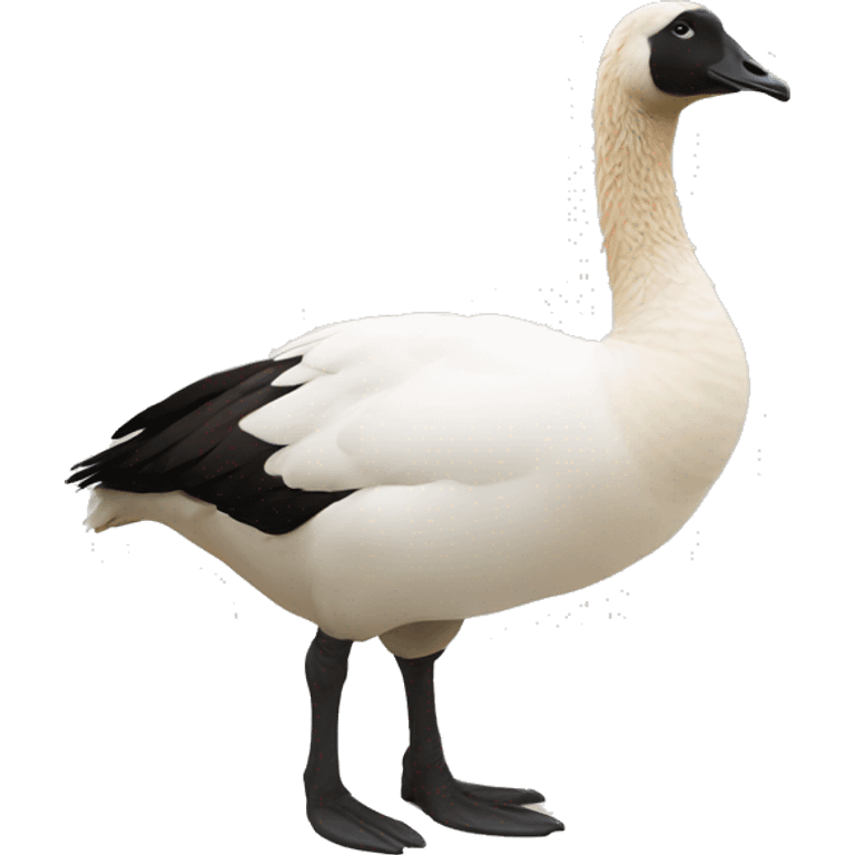 Goose for the lower body and llama top half of the body and head emoji