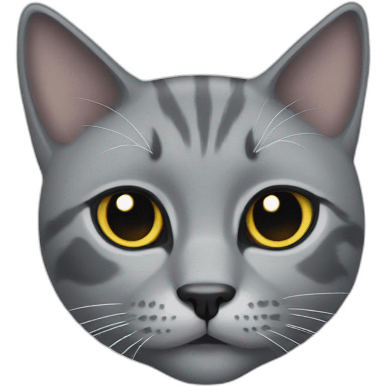 Gray cat with black eyes emoji