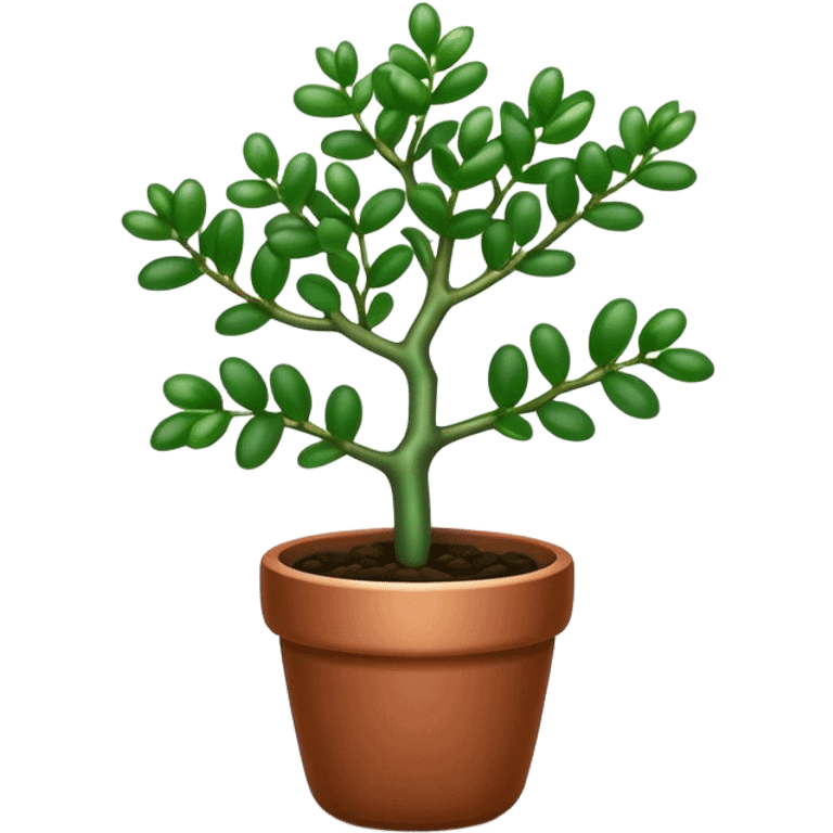 Cinematic Realistic Jade Plant Emoji, Thick and glossy, with dark green, round leaves that shine under the light. The sturdy stems and vibrant foliage give a sense of prosperity and tranquility. Soft glowing outline, capturing the essence of good luck, growth, and natural elegance in a flourishing jade plant! emoji