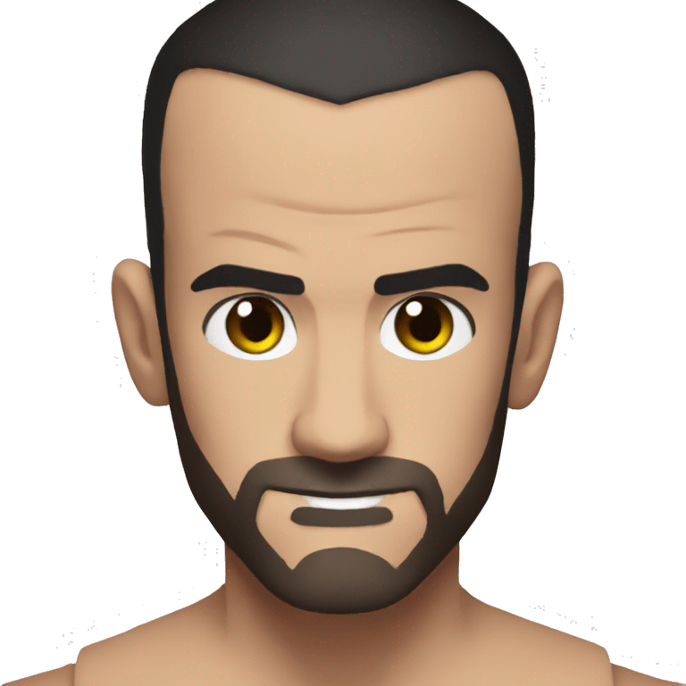 CM Punk emoji