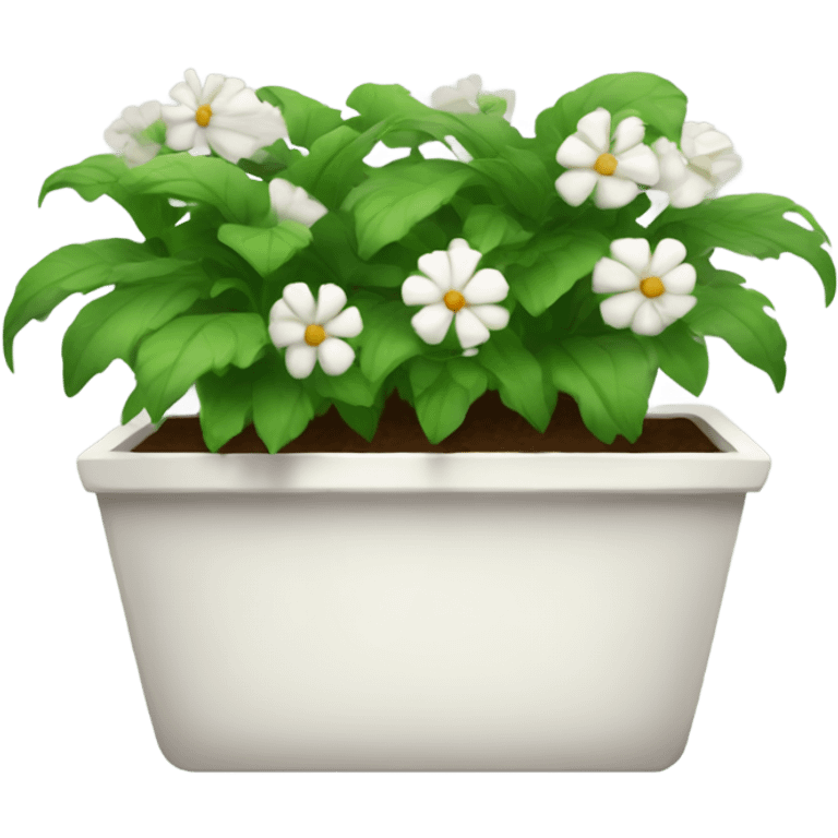 Long white rectangular flower pot with green plants only emoji