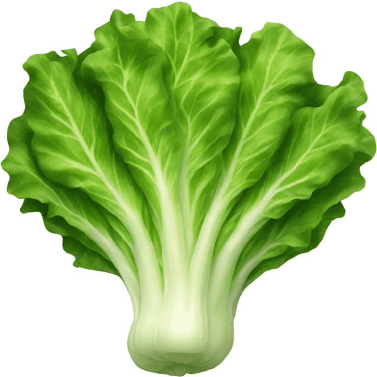 Lettuce emoji