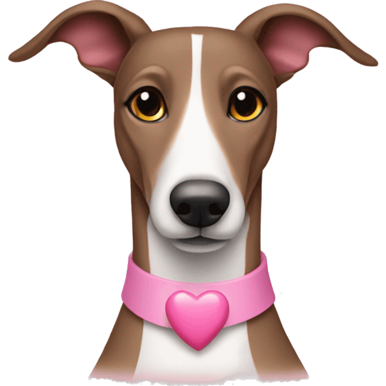 Brown and white Greyhound with pink hearts around emoji