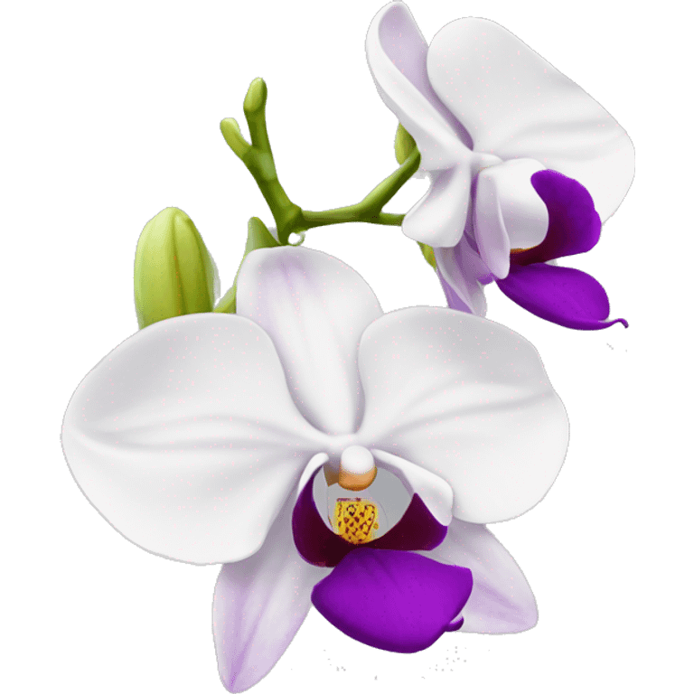 orchid emoji