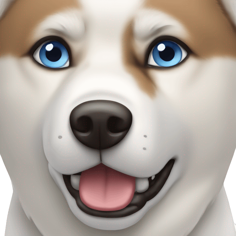 White Akita dog blue eye and brown eye emoji