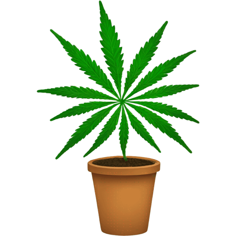 Cannabis plant  emoji