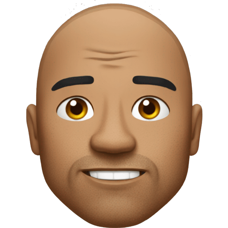 The rock withone raised eyebrow emoji