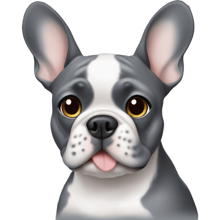 Grey frenchie  emoji