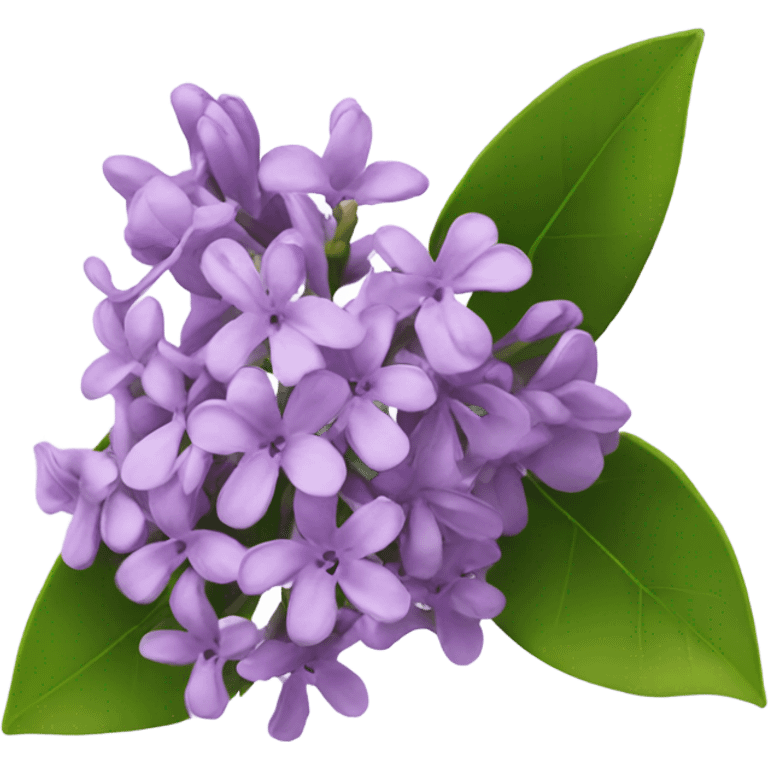 a flower of lilac emoji