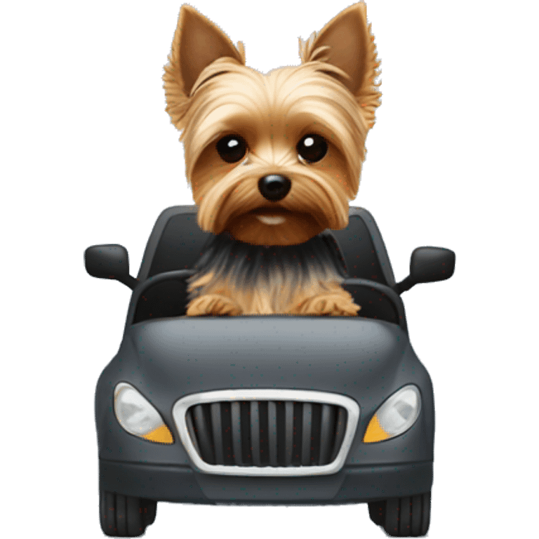 Yorkie driving  emoji