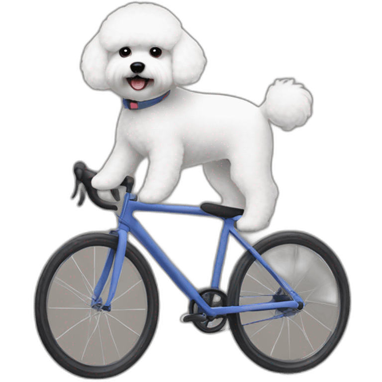 Bichon frisé cycling emoji