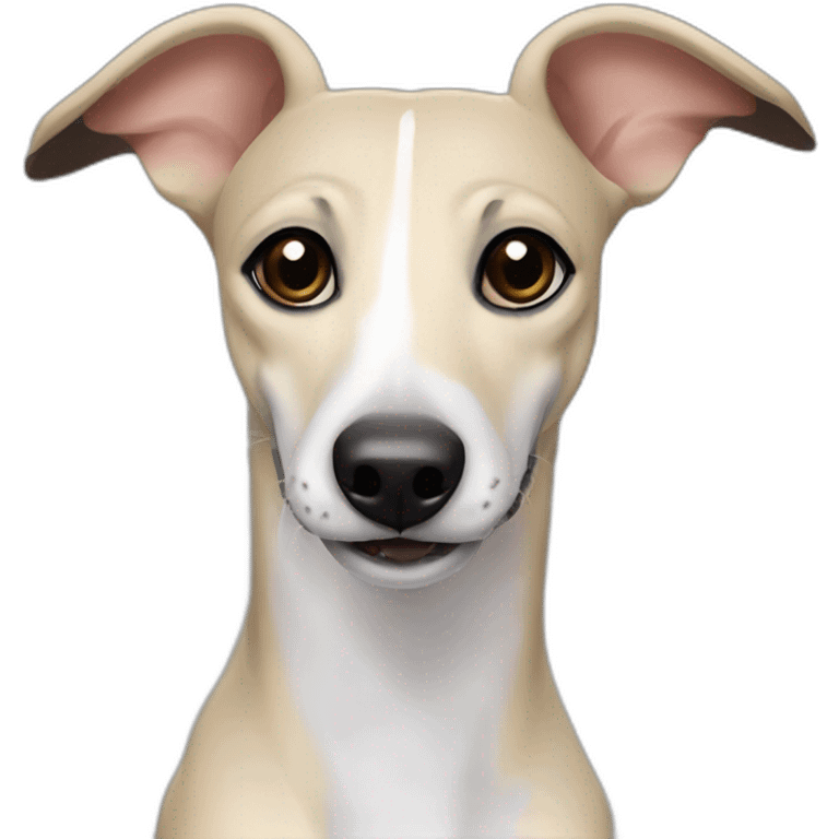 a beige whippet with a dark snout, black and white mouth patchy and black angel wing like eyes – smiling emoji