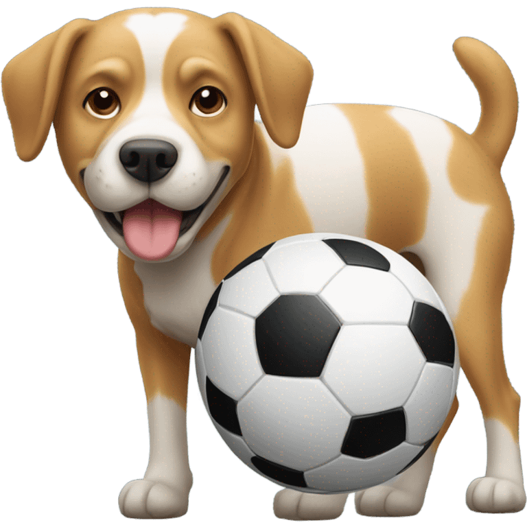 Dog and soccer ball emoji