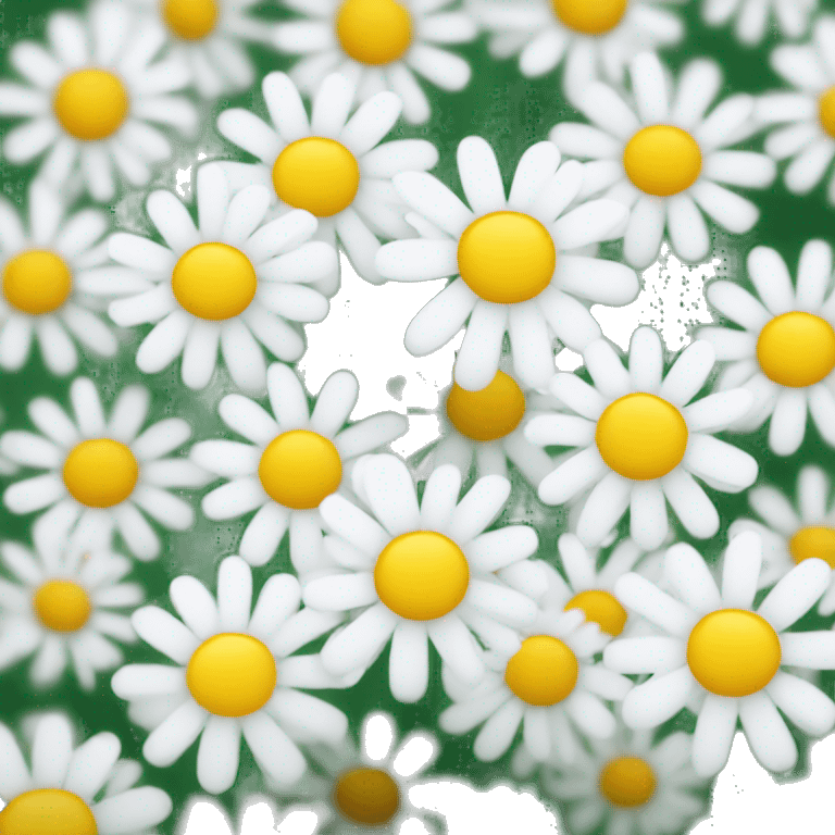 A bunch of white daisies emoji