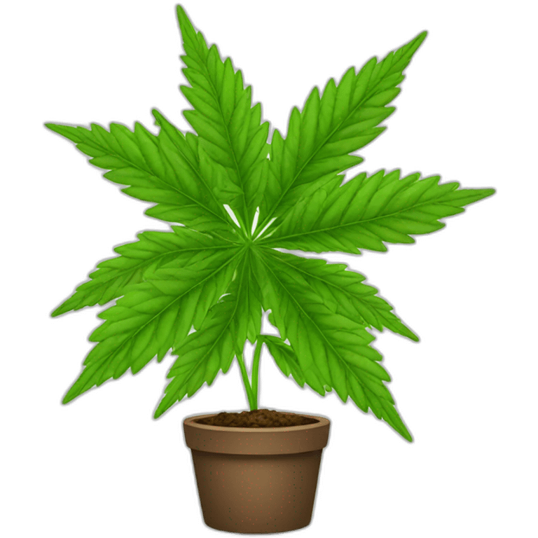 young-cannabis-plant emoji