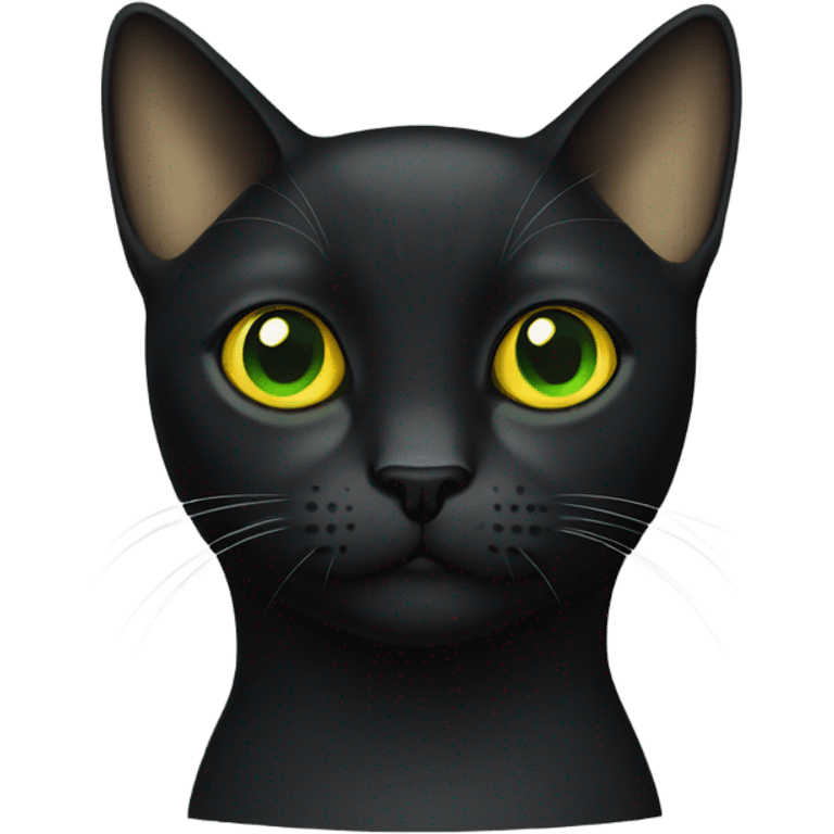 black shorthair cat with eyes that are green around the black pupil and yellow around it emoji