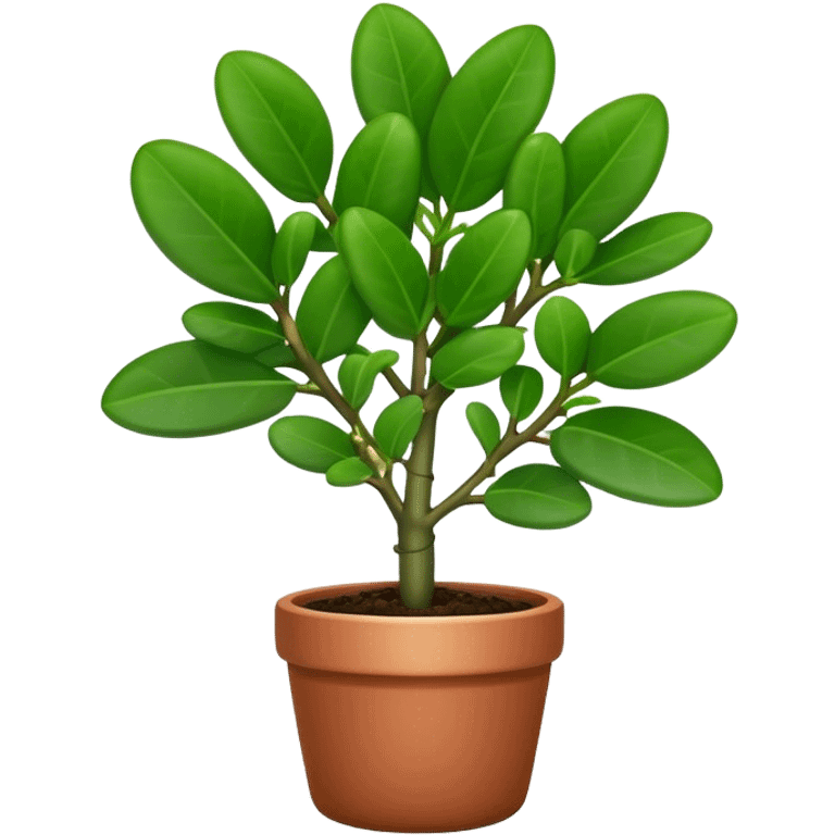 Cinematic Realistic Jade Plant Emoji, Thick and glossy, with dark green, round leaves that shine under the light. The sturdy stems and vibrant foliage give a sense of prosperity and tranquility. Soft glowing outline, capturing the essence of good luck, growth, and natural elegance in a flourishing jade plant! emoji