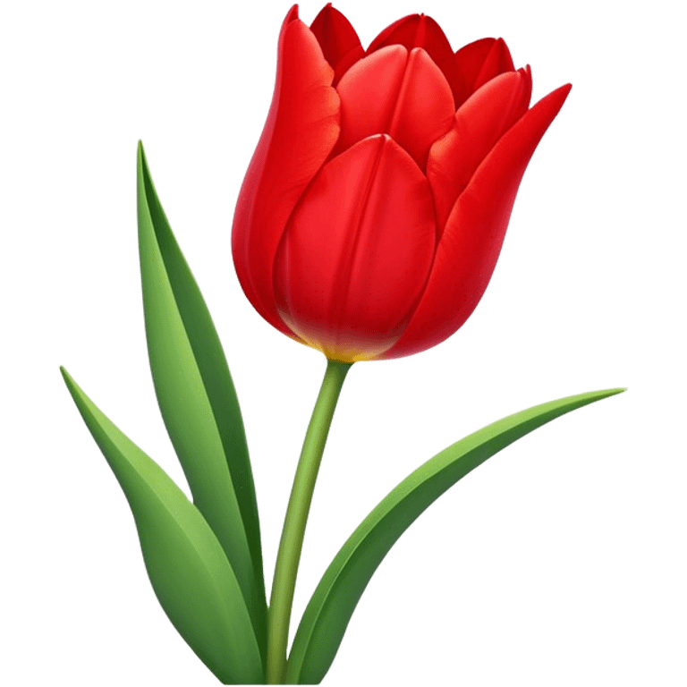 a beautiful flower of tulip emoji