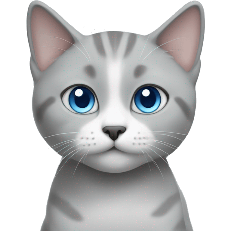 Grey and White, British Short Hair cat whit Blue Eyes emoji