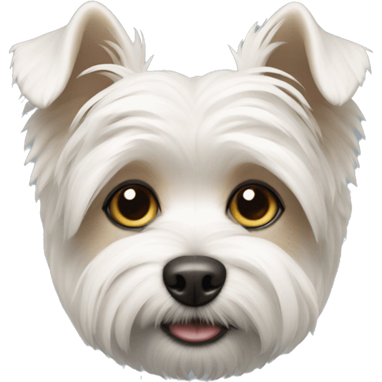 White morkie emoji